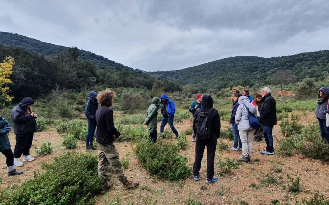 Chantier participatif et découverte du jardin méditerranéen